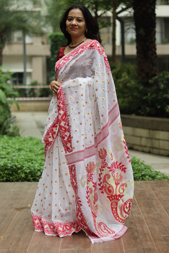 Shubhra (SAREE)